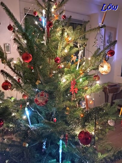 24.12.2024 - Weihnachtsbaum